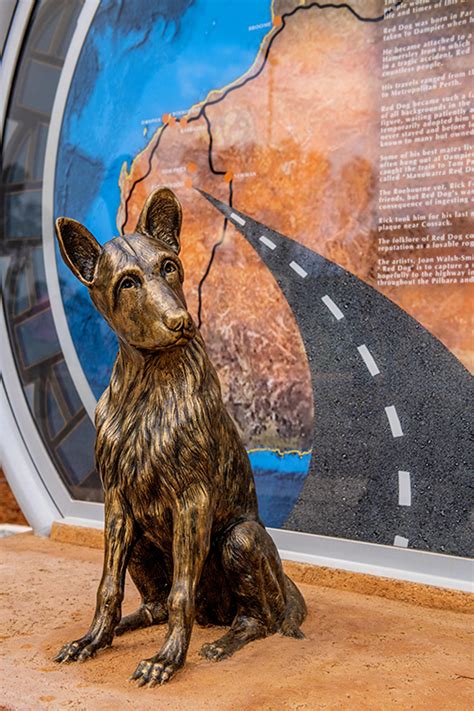 News Story - Red Dog sculpture unveiled in Paraburdoo » Shire of Ashburton