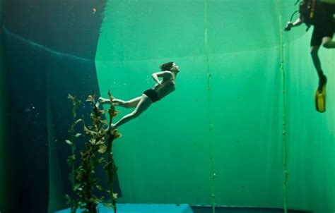 two people are diving in an aquarium with plants growing out of the bottom of the tank