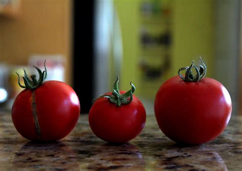 The 99 Cent Chef: Tomato Season Recipes