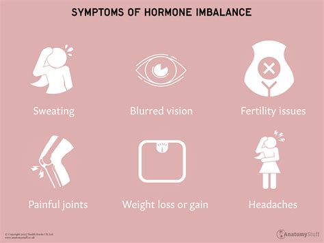 Understanding Hormones | Hormone Imbalance | AnatomyStuff