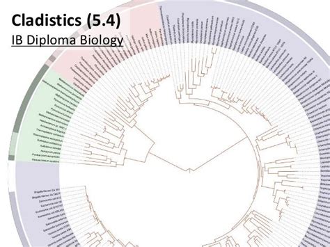 IB Biology 5.4 Slides: Cladistics