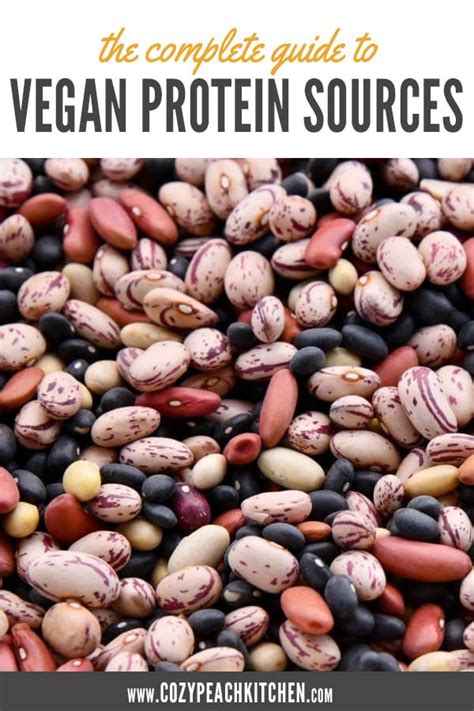 The 18 Best Vegan Protein Sources - Cozy Peach Kitchen