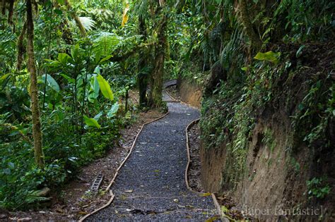 [Super Duper Fantastic] Santa Elena Cloud Forest Reserve - Monteverde