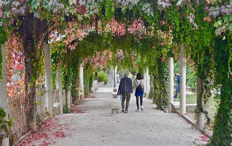couple, walking, pathway, flowering vines, outdoors, garden, arbour, person | Piqsels
