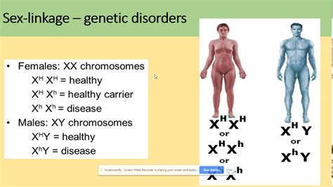 3.7.1 Inheritance. Sex linkage and autosomal linkage. AQA A level biology - YouTube