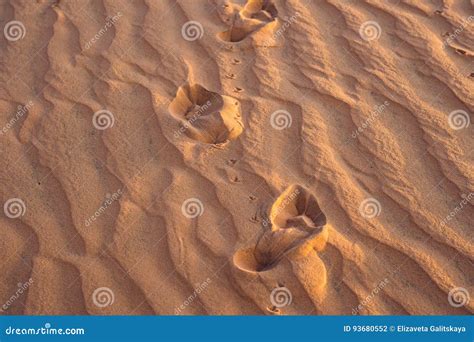 Footprints in the Sand in the Red Desert at Sunrise Stock Photo - Image ...