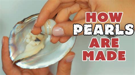 All About Pearls and How They're Made - YouTube