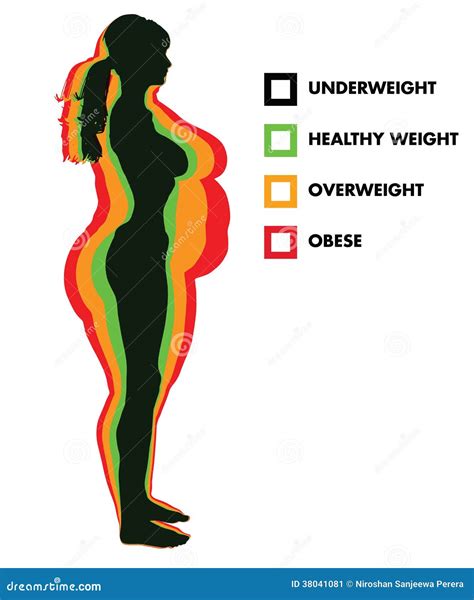 Woman Body Mass Index BMI Categories Stock Image - Image: 38041081