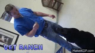 Matt Ranch GIF - Find & Share on GIPHY