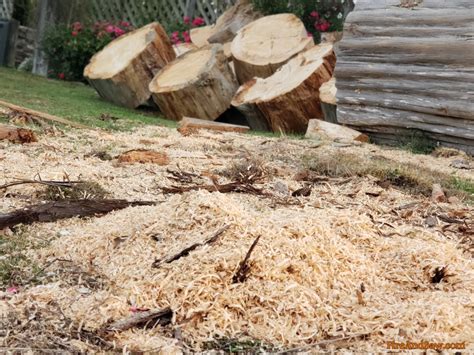 10 BEST Uses For Sawdust: How To Use Sawdust Around Home