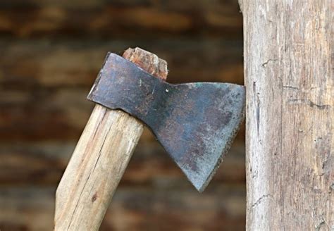 Free Images : tree, branch, wood, tool, soil, hatchet, ax, block ...