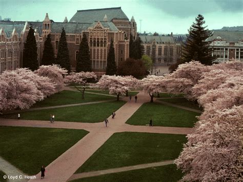 university of washington