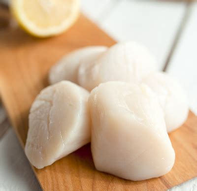 Scallops: nutrition data, where found and 109 recipes