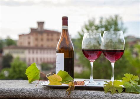 10 Best Italian Red Wine Types- Red Wines in Italy | Italy Best
