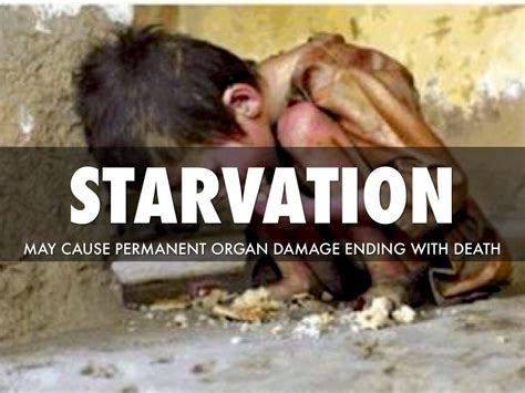 Starvation by Julia Hanson