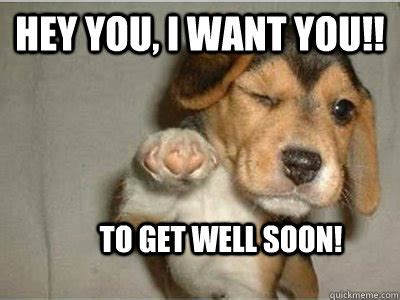 Hey you, I want you!! To get well soon! - Puppy Love - quickmeme