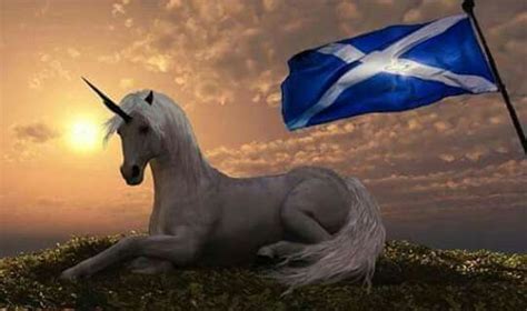 Scotlands flag and national aninal ( yip its really a unicorn ...