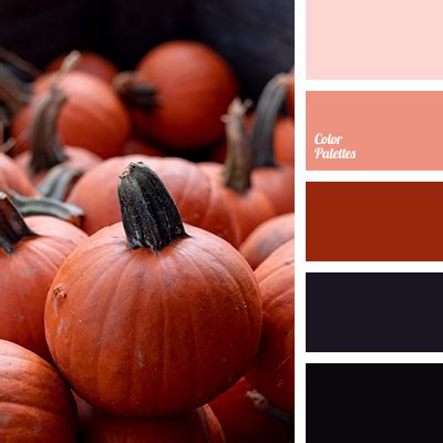 home color schemes | Color Palette Ideas