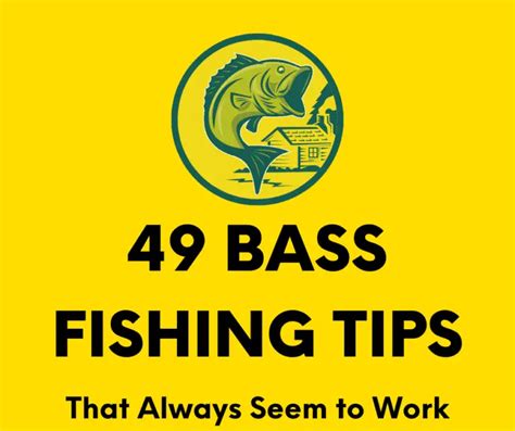 49 Bass Fishing Tips That Always Seem to Work – Bass Fishing Insider