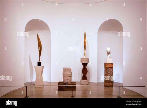 Philadelphia Museum of Art - Brancusi Sculpture Exhibit - - in Philadelphia, USA Stock Photo - Alamy