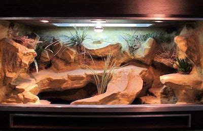 tank decor Bearded Dragon terrarium basking rock Lizard rock Pet ...