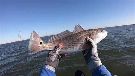 Saltwater Fly Fishing in Corpus Christi, Texas - Part 1 - YouTube