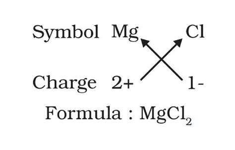 4. Write the chemical formulae of the following - Studdy