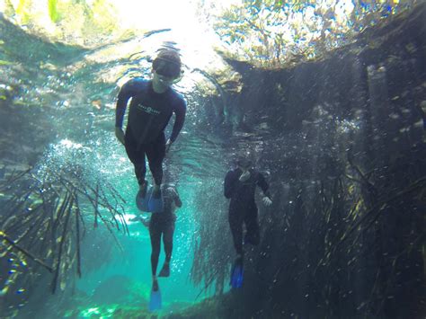 What Is a Cenote | How Were Cenotes Formed