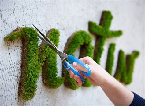 How to make moss graffiti RECIPE | Green Prophet