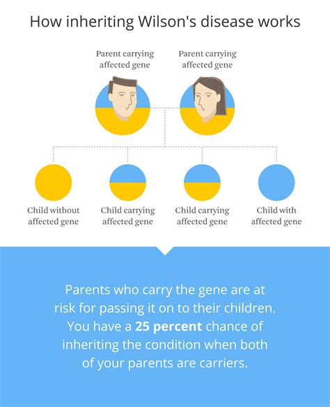 Wilson’s Disease: Risk Factors, Causes, & Symptoms