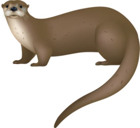 Download High Quality otter clipart Transparent PNG Images - Art Prim ...