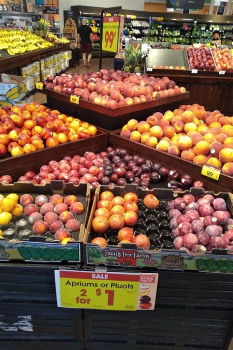 When are Pluots [Plumcots] in Season? - Eat Like No One Else