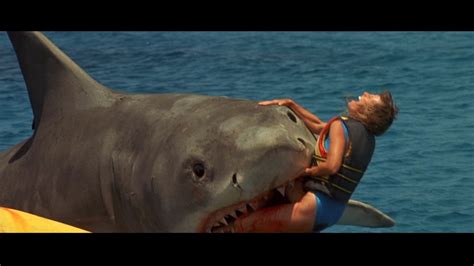 Movie Talk: ‘Jaws: The Revenge’ Review – Horror Novel Reviews