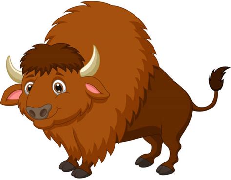 9,400+ Cartoon Of Buffalo Stock Photos, Pictures & Royalty-Free Images ...