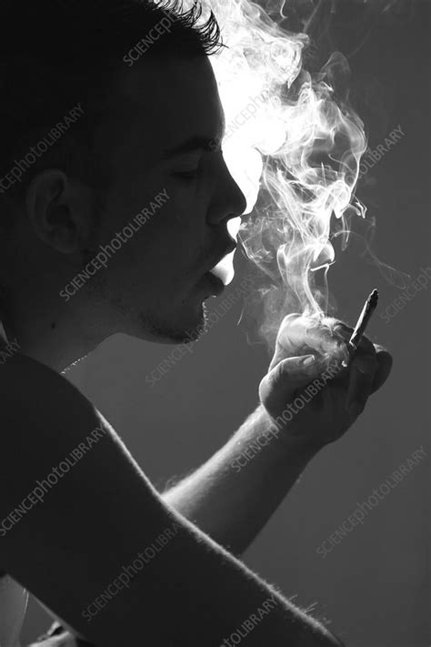 substance abuse, cannabis - Stock Image - C002/7545 - Science Photo Library