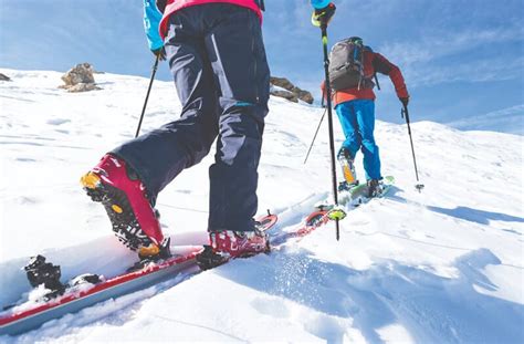 Top 10 Best Backcountry Skis Review 2024 - My Trail Co