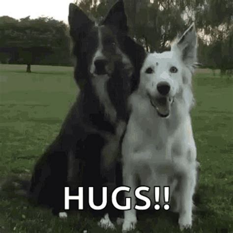 Dog Hugs GIF - Dog Hugs Bff - Discover & Share GIFs