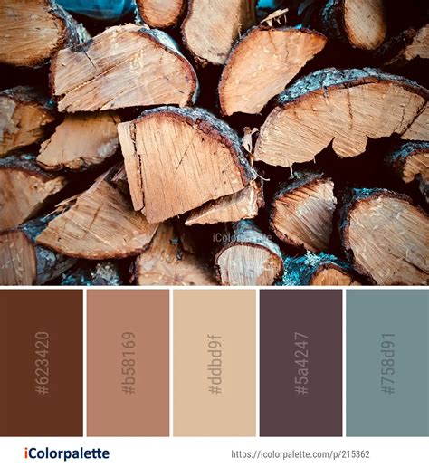 Wood Color Palette Hex Wood Color Palette Created By - vrogue.co