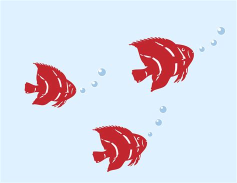 Red Fishes Free Stock Photo - Public Domain Pictures