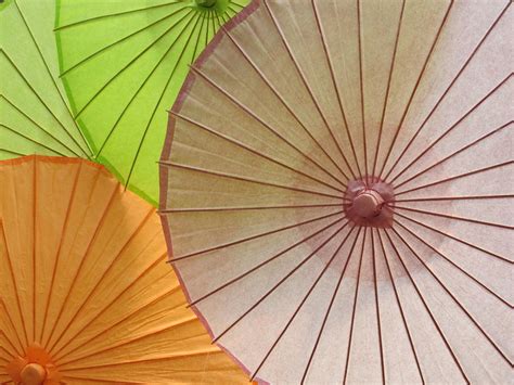 Umbrella Art Photograph