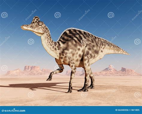 Dinosaur Velafrons On White Background Stock Illustration | CartoonDealer.com #67140907