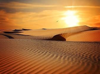 desert, nile, egypt, aswan, river, landscape, sand, dune | Pikist