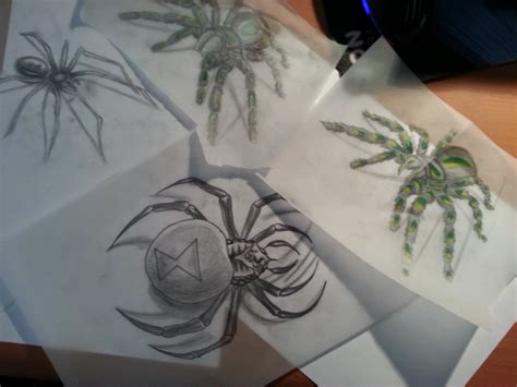 Realistic spider tattoo sketches by flaviudraghis on DeviantArt