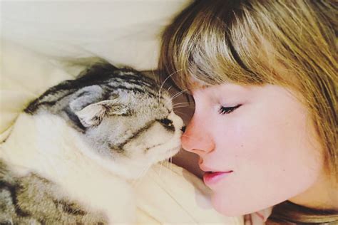 Taylor Swift's Cutest Photos with Her Cats, Benjamin Button, Olivia and Meredith