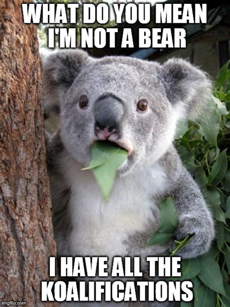 Surprised Koala Meme - Imgflip