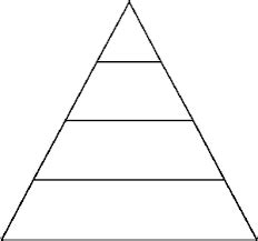 Diagram of Trophic Levels | Quizlet