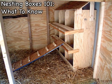 Nesting Boxes | Chicken roost, Chicken nesting boxes, Inside chicken coop