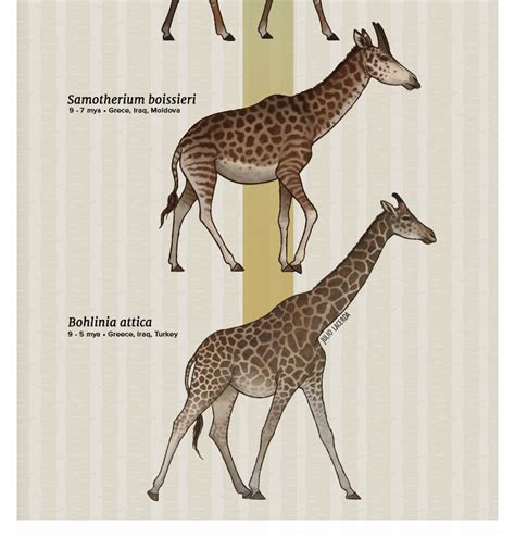 Julio Lacerda • Evolution Series: Reaching Ever Higher Giraffes...