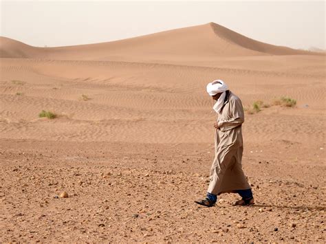 World’s largest desert has grown even larger due to climate change ...