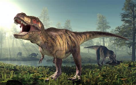 Growing Up Tyrannosaurus Rex: Researchers Learn More About Teen-Age T.Rex